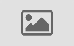 免费ddos网页端
